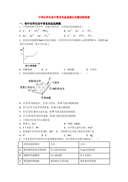 中考化学生活中常见的盐易错过关测试附答案