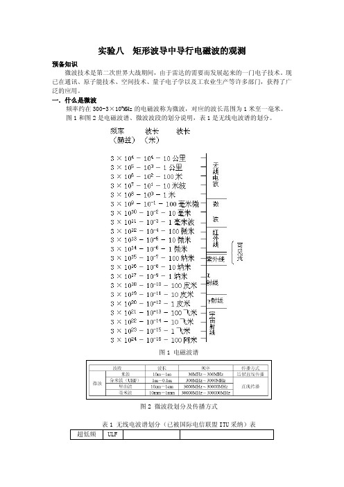 矩形波导中导行电磁波的观测