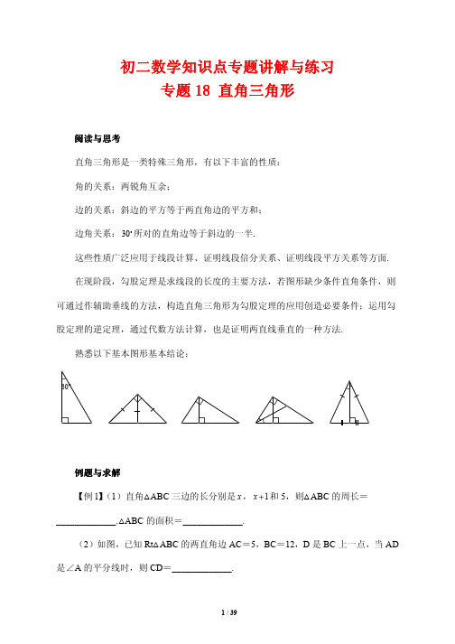 初二数学知识点专题讲解与练习18---直角三角形(培优版)