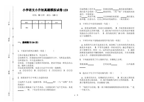 【小学教育】2019最新小学语文小升初真题模拟试卷1Z3—8K可直接打印