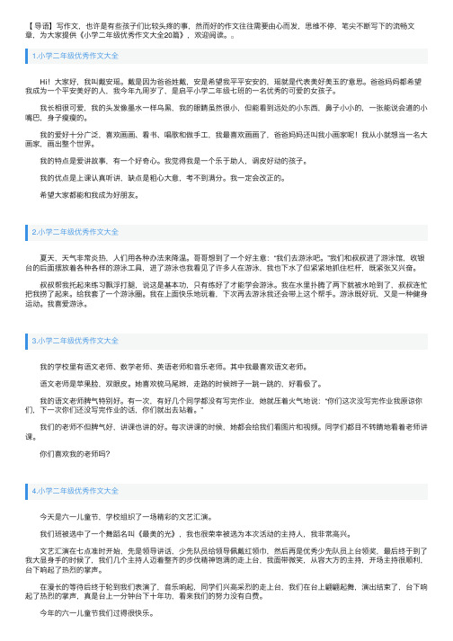 小学二年级优秀作文大全20篇