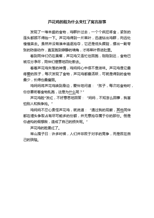 芦花鸡的脸为什么变红了寓言故事