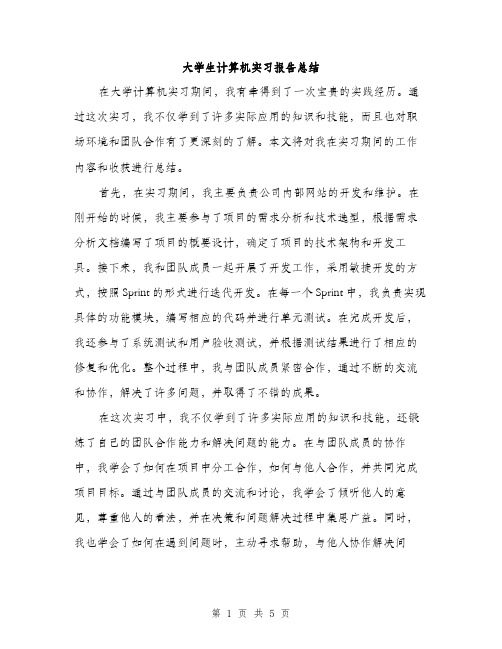 大学生计算机实习报告总结（二篇）