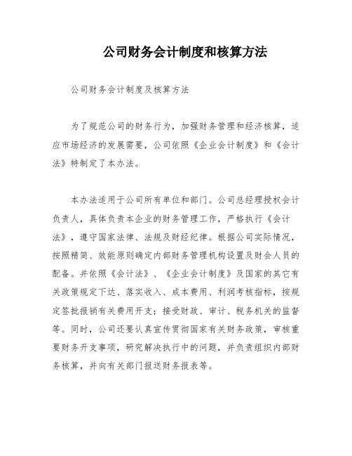 公司财务会计制度和核算方法