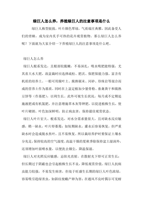 绿巨人怎么养,养殖绿巨人的注意事项是什么.doc