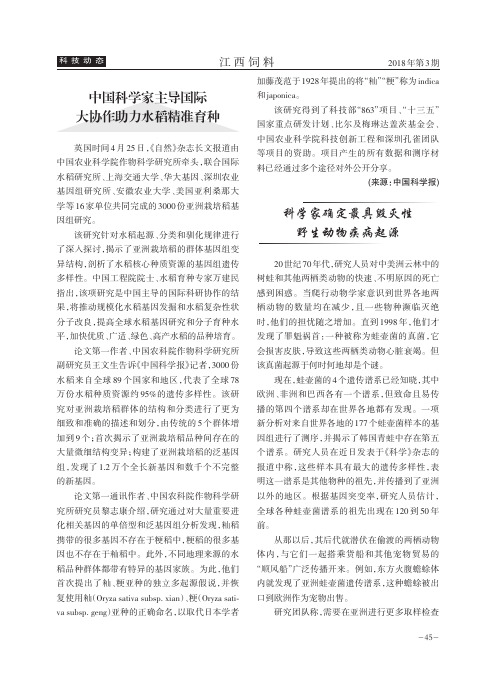 中国科学家主导国际大协作助力水稻精准育种