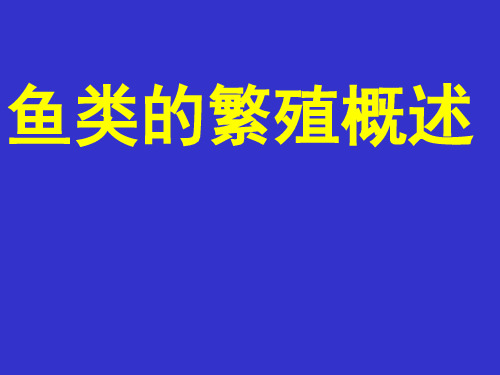 鱼类的繁殖概述