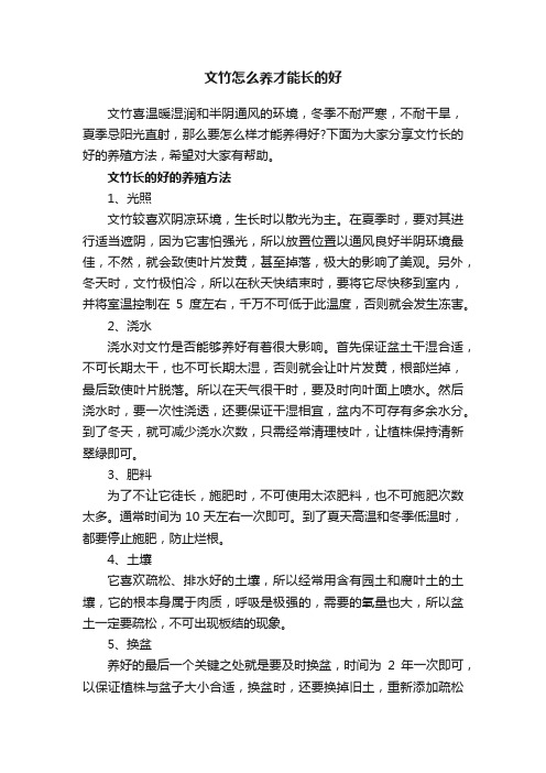 文竹怎么养才能长的好