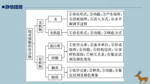 江苏2019版高考生物二轮增分策略专题一细胞的分子组成和基本结构考点1组成细胞的分子课件