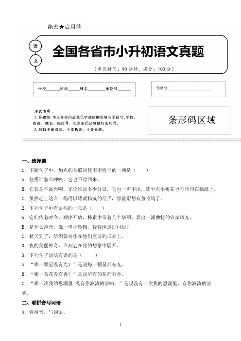 【小升初】2020年江苏省盐城市小升初语文毕业会考试题含答案(全网唯一)