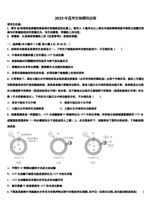 广东省惠州市惠东中学2023年高三最后一卷生物试卷含解析