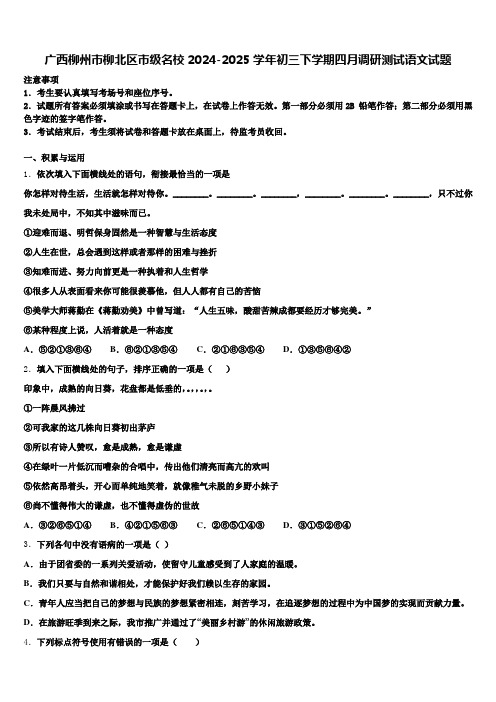 广西柳州市柳北区市级名校2024-2025学年初三下学期四月调研测试语文试题含解析