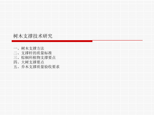 树木支撑技术研究