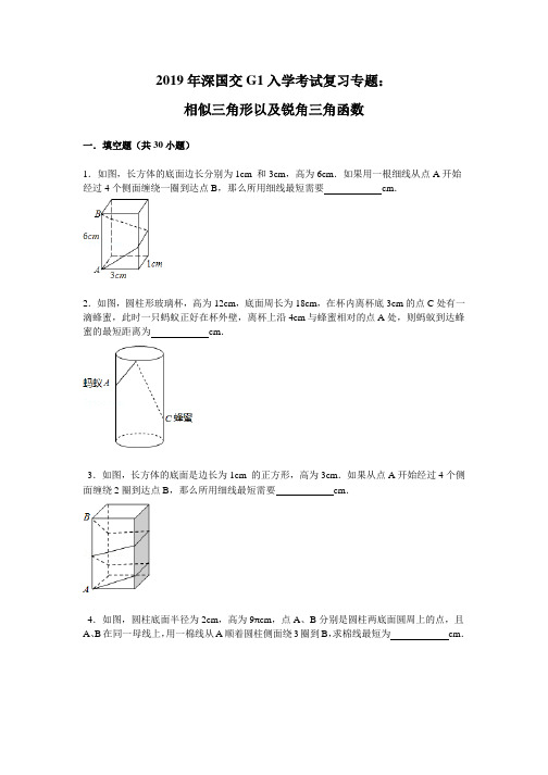 2019年深国交G1入学考试复习专题：相似三角形以及锐角三角函数(试题版)