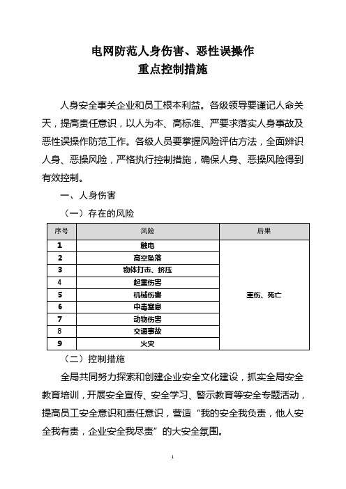 电网防范人身伤害、恶性误操作重点控制措施