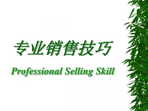 销售技巧professional selling skill