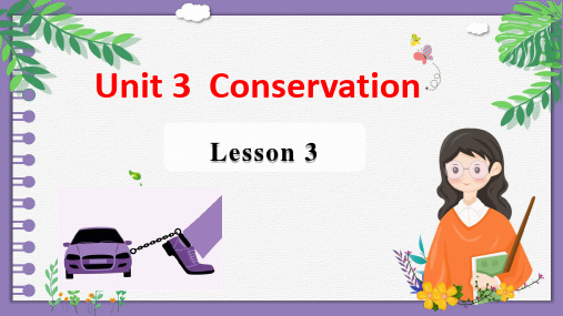 Unit3ConservationLesson3TheRoadToDestruction课件高中英语