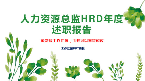 人力资源总监HRD年度述职报告工作总结工作计划PPT模板下载