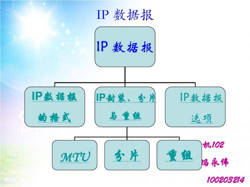 ip数据报