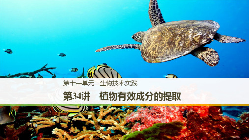 2021年高考生物一轮复习第34讲(植物有效成分的提取)