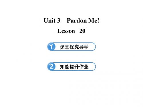 冀教版九年级下Unit3 Lesson20课件(共12张PPT)