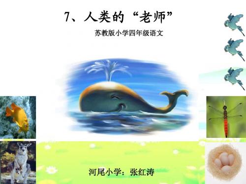 7、人类的“老师”