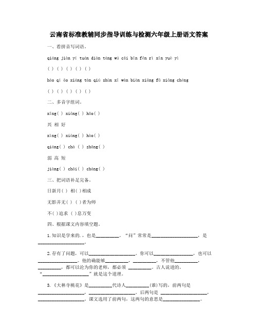 云南省标准教辅同步指导训练与检测六年级上册语文答案