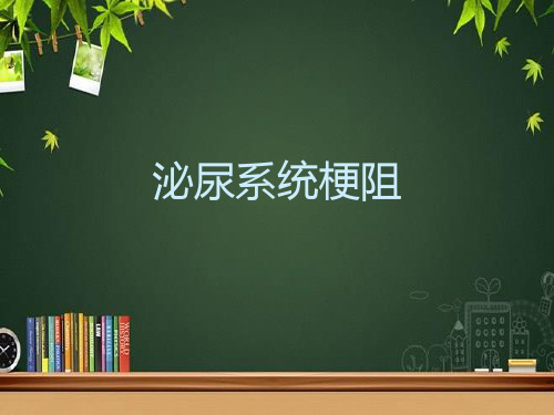 泌尿系统梗阻-PPT