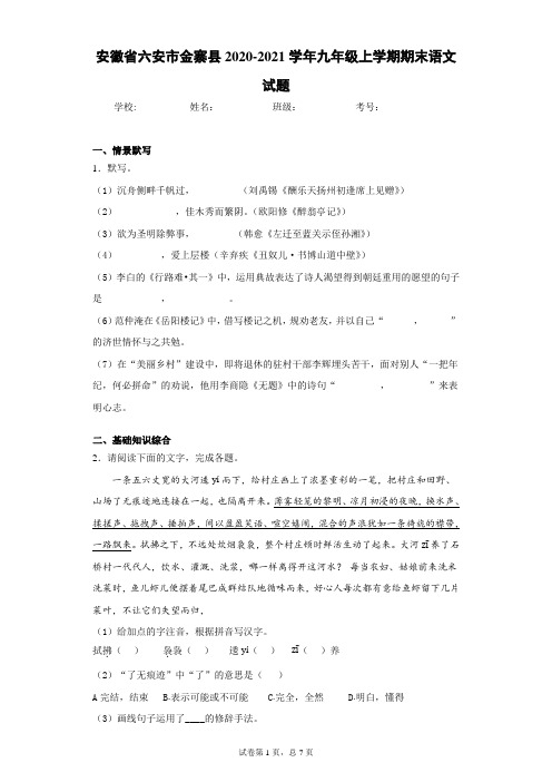 安徽省六安市金寨县2020-2021学年九年级上学期期末语文试题-及参考答案