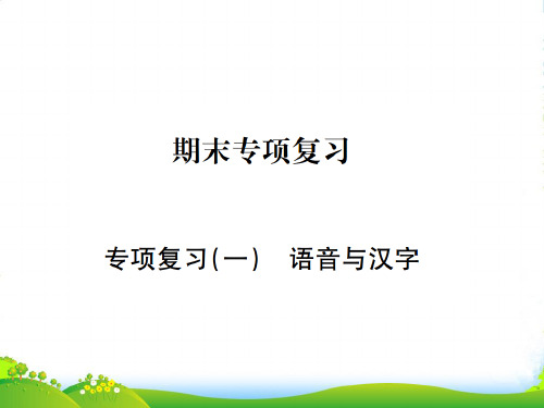 部编版七年级语文下册：专项复习一 语音与汉字