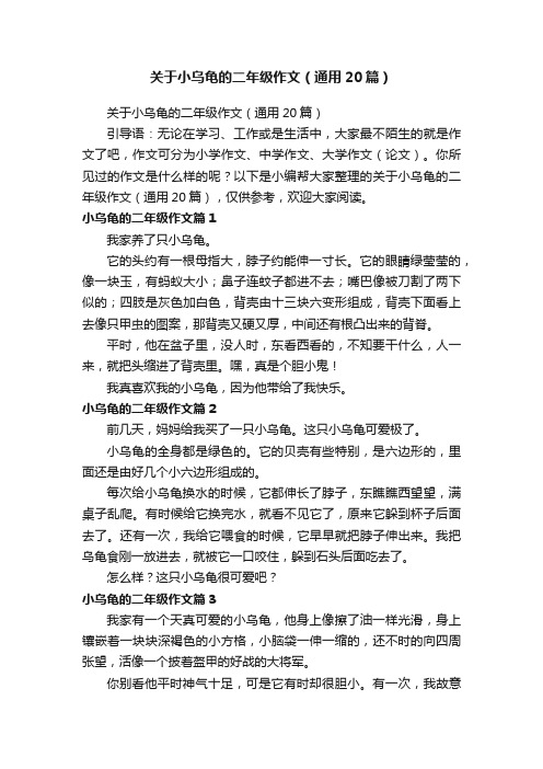 关于小乌龟的二年级作文（通用20篇）