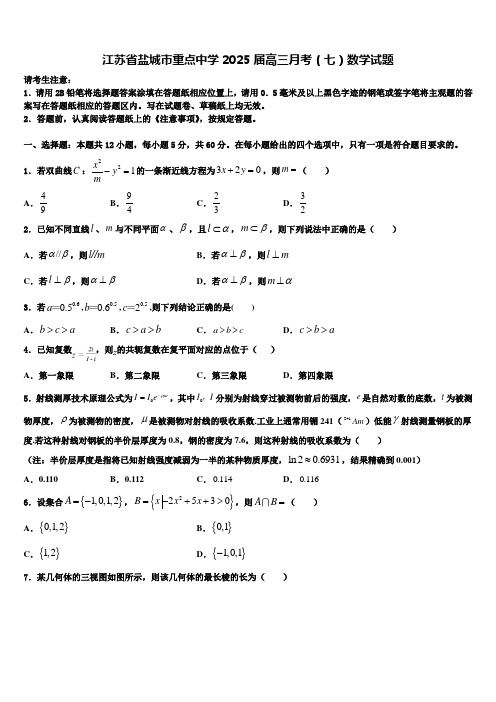 江苏省盐城市重点中学2025届高三月考(七)数学试题