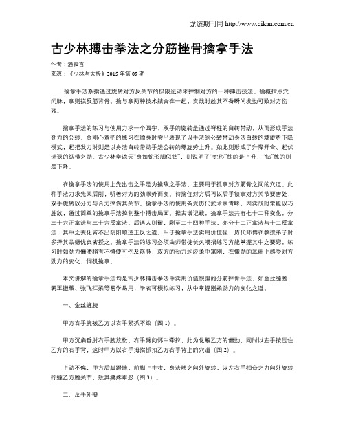 古少林搏击拳法之分筋挫骨擒拿手法