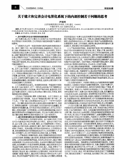 关于建立和完善会计电算化系统下的内部控制若干问题的思考