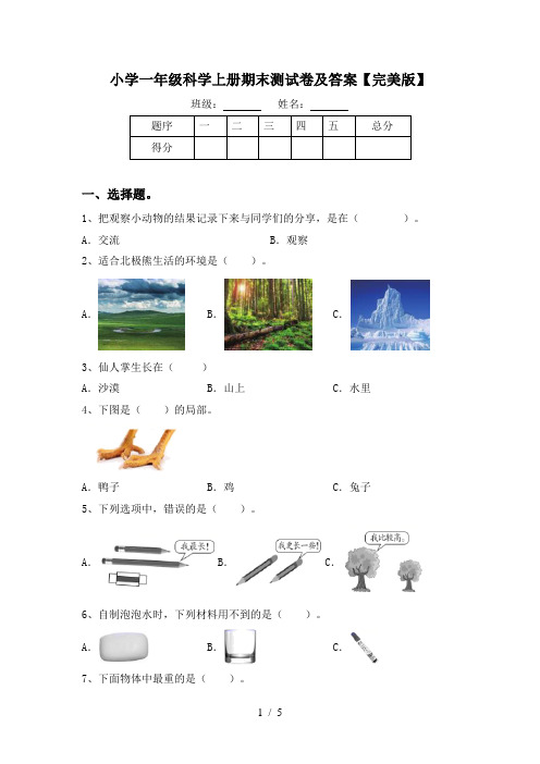 小学一年级科学上册期末测试卷及答案【完美版】