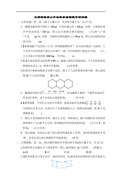 北师版数学小升初数学易错题专项训练含答案