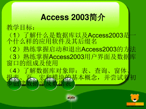 access 2003 简介