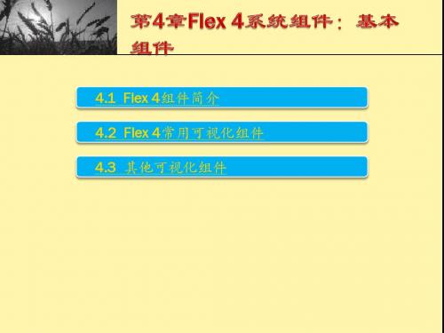 第4章 Flex 4系统组件：基本组件