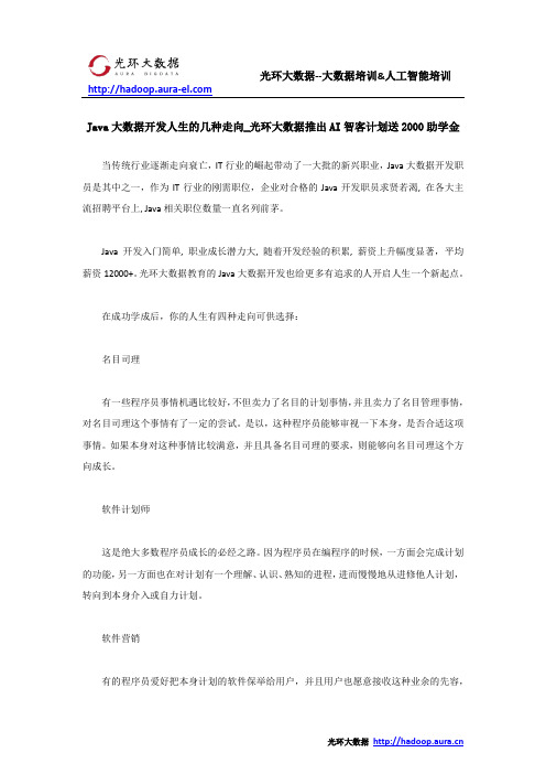 Java大数据开发人生的几种走向_光环大数据推出AI智客计划送2000助学金