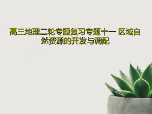 高三地理二轮专题复习专题十一 区域自然资源的开发与调配32页文档