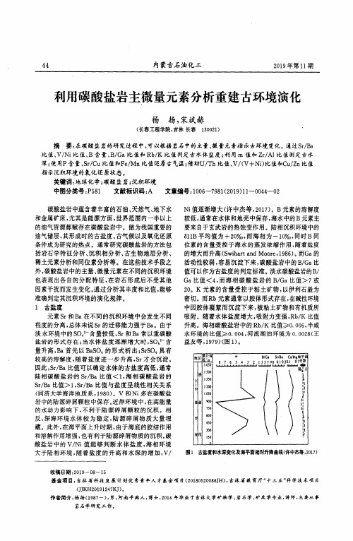 利用碳酸盐岩主微量元素分析重建古环境演化