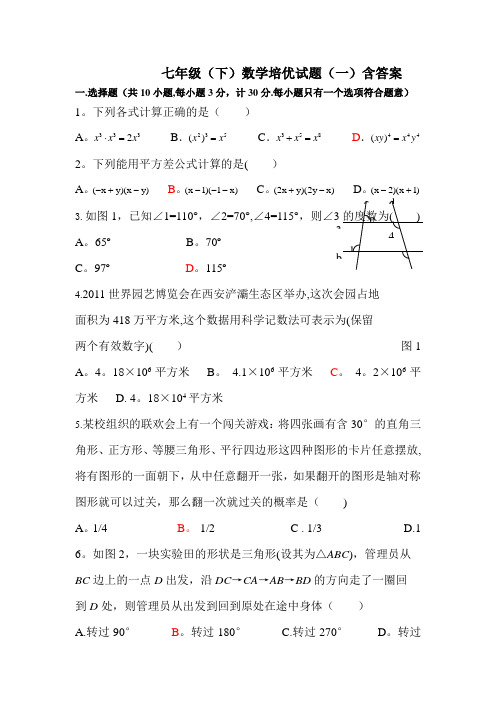 七年级(下)数学培优试题(一)含答案