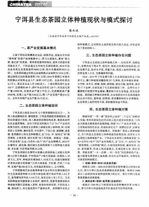 宁洱县生态茶园立体种植现状与模式探讨