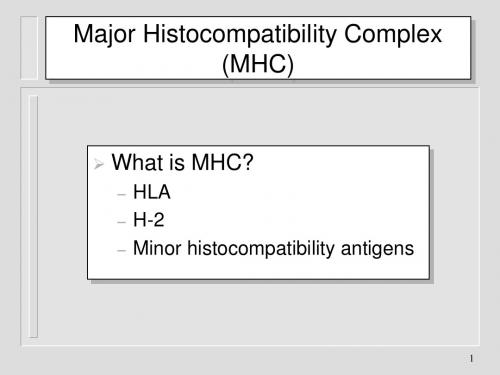 MHC-在遗传和移植中的作用