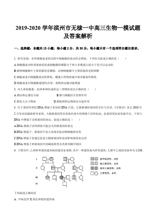 2019-2020学年滨州市无棣一中高三生物一模试题及答案解析