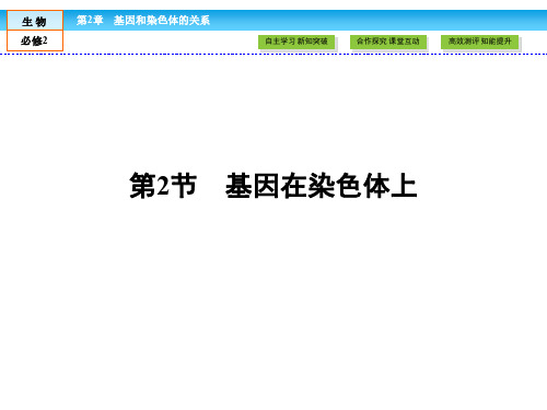 人教版高中生物必修二课件 第二章 基因和染色体的关系 2.2基因在染色体上