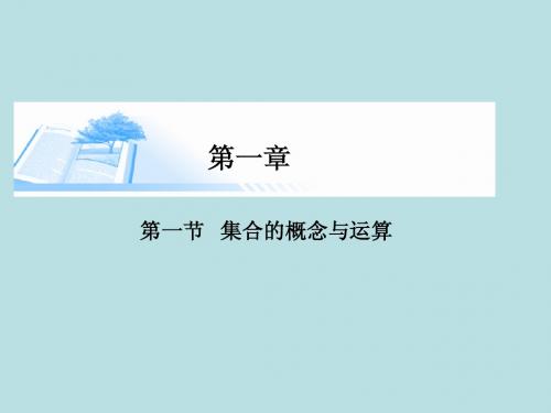 2015届高考数学总复习第一章 第一节集合的概念与运算精讲课件 文