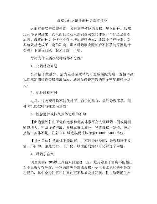 母猪为什么屡次配种后都不怀孕