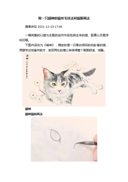 画一只凝神的猫丝毛技法和猫眼画法