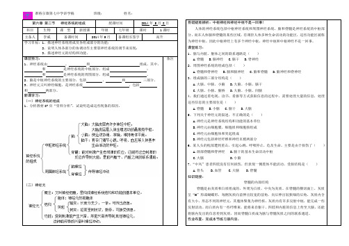 4.6.2神经系统的组成